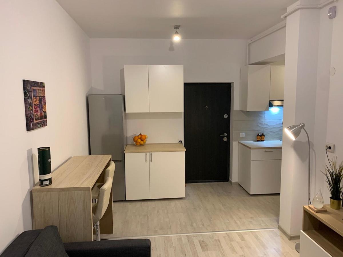 Ray Luxury Apartment Close To Presidential Palace Βουκουρέστι Εξωτερικό φωτογραφία